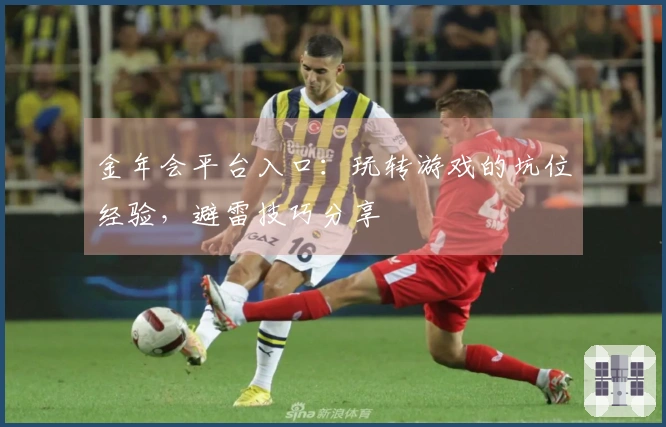 金年会平台入口：玩转游戏的坑位经验，避雷技巧分享